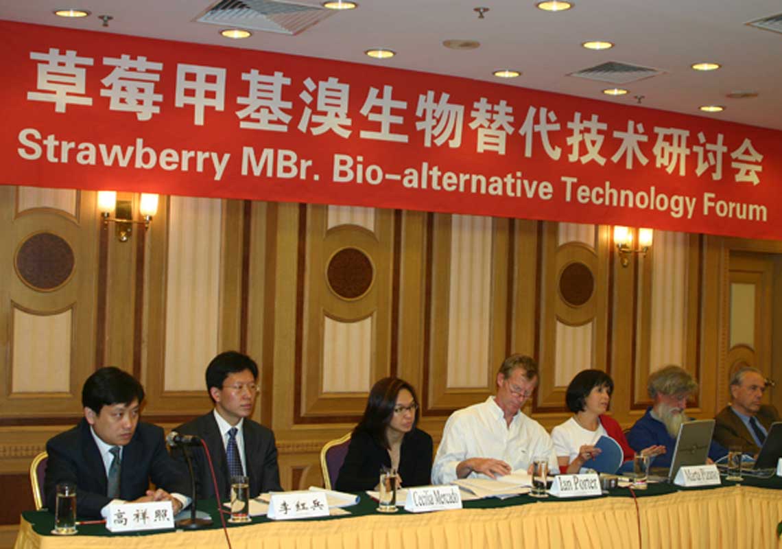 聯(lián)合國環(huán)境署、聯(lián)合國工發(fā)組織等機構出席了我公司舉行的草莓甲基溴生物替代技術研討會